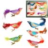 Krebs Glas Lauscha - Decorazione natalizia/decorazioni per albero di Natale in vetro - Assortimento di uccelli fantasiosi su clip - Quantità: 6 pezzi - Colore: Multicolor - Dimensioni: circa 11 cm