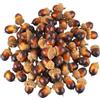 JoyIxtvzq 50 Pezzi Artificiale Ghianda para Mesa De Fare Decorazione | Inverno Vacanza Casa Decorazione Naturale Mini Pigne Natale Ghiande Simulate e Fai da te