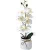 TDCuizent Orchidea artificiale a 7 steli, 29,5 cm, pianta finta realistica (bianco) | 7 fiori realistici, dettagli naturali, arredamento elegante, altezza 29,5 cm, vaso da fiori incluso