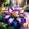 SRWTJHG Hosta Variegata Perenne, Rizoma Forte, Resistente all'Ombra e al Freddo Invernale-4bulbi-G