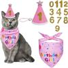 GWEOR Set Compleanno Cane e Gatto, Cappello e Bandana Rosa con Numeri Adesivi, Accessori Festa per Cani di Piccola e Media Taglia, Decorazioni Compleanno Animali Regolabili e Riutilizzabili, Rosa