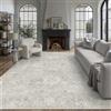 Purecozy Tappeto Salotto 240x300cm Tappeto Camera da Letto, Grigio | Lavabile, Antiscivolo, Grande, Tappeti Sala, Cameretta, Soggiorno, Ufficio, Carpet, Pelo Corto, Morbido, Rug