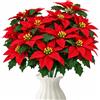 Sonostacle 4 Pezzi Stella di Natale Artificiali, 33cm Fiori Finti Natalizi | 7 Teste in Seta Bouquet Floreale Finto, Stella di Natale Artificiale, Decorazioni Natalizie Albero per Ghirlande Alberi Vasi