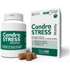 CONDROGEN Condrostress mobility 90 soft chews - CONDROGEN - 989362633
