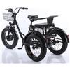 Daibot Triciclo elettrico a 3 ruote per adulti con pneumatici grassi da 500 W 48 V con sedile passeggero/cestino posteriore bici elettrica con batteria rimovibile per 2 persone