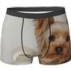 Poadnly Terrier dello Yorkshire,Boxer da Uomo in Morbida Biancheria Intima, Slip in Poliestere