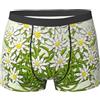 Poadnly Edelweiss Fiori di Montagna svizzeri,Boxer da Uomo in Morbida Biancheria Intima, Slip in Poliestere