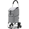 VOUNOT® Carrello Spesa Pieghevole in Alluminio, Carrello Portaspesa 6 Ruote con Borsa Oxford Staccabile, 58 L, Grigio
