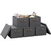 WOLTU Scatola Portaoggetti con Coperchio in Tessuto, Set di 5 Organizer per Armadio, Contenitore Portaoggetti con Maniglie, Grigio, 36 L