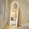 HOMCOM Specchio da Terra ad Arco con Luci Dimmerabili 150x50cm, Trasparente | Specchio da Parete, Autoportante a Figura Intera, Vetro Temperato, Funzione di Memoria, per Camera da Letto