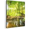 MuchoWow© Stampa di Foto su Tela Quadro Soggiorno Moderno Quadri per | 50x70 cm - Salotto Decorazioni Camera Foresta - Paesaggio - Acqua - Alberi - Sole - Verde - Natura