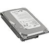 Seagate Disco rigido Seagate Constellation da 3,5" - Capacità di archiviazione 1 TB - Interno - SATA - 7200 giri/min - Buffer da 32 MB - Hot-Swap