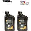 SELENIA 2 LITRI OLIO MOTORE SELENIA ECO2 PLUS 0W20 PSA B71 2010 70826E18EU