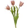 EDG Enzo De Gasperi Mazzo di 3 tulipani Parrot rosa e verdi alto 51 cm