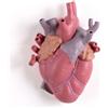 Seletti Vaso Love in Bloom Color cuore in porcellana alto 25 cm