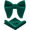 HOULIFE Set di papillon da uomo in velluto regolabile pre-legato con taschino, set di gemelli per sposo festa di nozze formale con confezione regalo