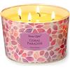 Home Lights HomeLights Candela in barattolo grande 4 stoppini, candela profumata in cera di soia naturale da 510g Floral (Corallo Paradiso)