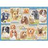 Ravensburger Spielverlag Puzzle RAVENSBURGER Cani obbedienti 1000 pezzi