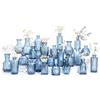 Sawoake Set di 24 mini vasi da fiori in vetro, per centrotavola, bottiglie vintage per decorazioni da tavola, decorazioni per matrimoni, casa, trasparenti (24, blu)