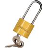 - Lucchetto in ferro 32 mm arco lungo anima in acciaio 2 chiavi