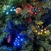 Lotti Importex Catena Bunch GX8 320 LED MULTICOLOR ø5mm Reflex, 40 Gruppi da 8 LED - Lotti Importex