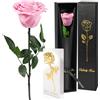 Yamonic Rosa Stabilizzata Regalo Donna, Vera Rosa Eterna con Steli Regalo per Donne Compleanno, Regali Natale San Valentino Festa della Mamma Anniversario Matrimonio Regali Fidanzata Mamma Nonna