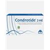 Mastelli srl Condrotide Siringa Intra-articolare di gel di polinucleotidi 2ml