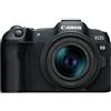 Canon EOS R8 + RF 24-50mm f/4.5-6.3 IS STM