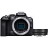 Canon EOS R10 corpo + adattatore baionetta EF a RF