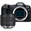Canon EOS R8 + RF 24mm f/1.8 Macro IS STM