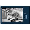 hansepuzzle 12868 - Puzzle del cane, 1000 pezzi, mondo animale, 60,0 x 46,0 cm con custodia di alta qualità, scatola di cartone e sacchetto richiudibile