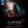 Ignacio Lusardi Monteverde Flamenco: Pasado Y Presente (CD) Album Digipak