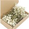 Tmboryuu 50 steli floreali fiori secchi alito bambino bianco eterno per decorazioni nozze e artigianato fatto a mano Decorazione nozze Fiori secchi