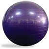 GATEPRO Gate Pro Gym Ball 75 cm Viola - Palla Pilates, Fitball Ginnastica e Fitness