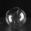 Generic Vaso in vetro borosilicato trasparente con micro paesaggio, per piante grasse, bottiglia di vetro trasparente, decorazione per ufficio (13,5 cm)
