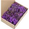 Tmboryuu 50 steli floreali fiori secchi alito bambino bianco eterno per decorazioni nozze e artigianato fatto a mano Decorazione nozze Fiori secchi