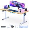 FLEXISPOT Scrivania Elettrica Regolabile in Altezza, 200 x 80 cm, Scrivania Gaming, con Vassoio Completo, Sistema Anticollisione e Memoria a 4 Altezze