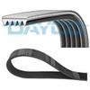 DAYCO 5PK638 Cinghia Poly-V Com.SERV.Rover 820-2.0