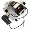 De'Longhi Moulin a cafe pour machine a cafe 3d-ro 230v Delonghi AS00002955