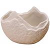 Qianly Vaso in Ceramica per Piante Idroponiche a Silhouette Irregolare Contenitore Opaco Dal Vaso Ornamentale Stabile Adatto a Mensola Nordico, Vaso Di Fiori - Roccia A Barca Lunga