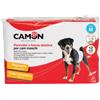 CAMON SpA CAMON PANNOLINI A FASCIA PER CANI M