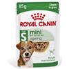 Royal Canin Mini Ageing cibo umido per cane (in salsa) 2 scatole (24 x 85 g)