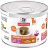 Hill's Adult Perfect Digestion Small & Mini mousse con tacchino cibo umido per cane 12 x 200 g