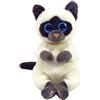 Ty Bellies - miso il gatto siamese bianco e marrone con occhi azzurri grandi e gli -3+ -