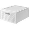 Rotho Country Cassettiera con 1 Cassetto in Rattan, Plastica (PP) senza BPA, Bianco, Grande/19.2 L, 45.0 x 34.0 x 20.0 cm
