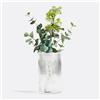 LA REDOUTE INTERIEURS Vaso vetro rigato dritto H22,5 cm, Afa - Trasparente