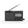 StarTech Radio portatile - Modello D368 - AM/FM/Onde corte - Sintonizzazione a 1 kHz - Bluetooth - Lettore MP3 - Supporta USB e scheda TF - Ricaricabile