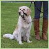 Trixie Top Trainer - collare a cavezza - Taglia XL