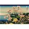 Vivere Zen Stampa Giapponese - Hokusai, Veduta del Monte Fuji (Stampa 40x30 cm)