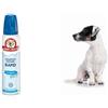 Bayer Shampoo Mousse Rapid classico 300 ml sano & bello